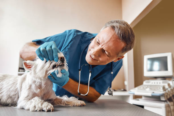 Best Dentist for Tooth Abscess  in Lampasas, TX